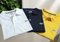 Polo Neck Combo T-Shirt for Men