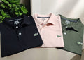 Polo Neck Combo T-Shirt for Men
