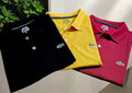 Polo Neck Combo T-Shirt for Men
