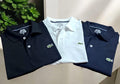 Polo Neck Combo T-Shirt for Men